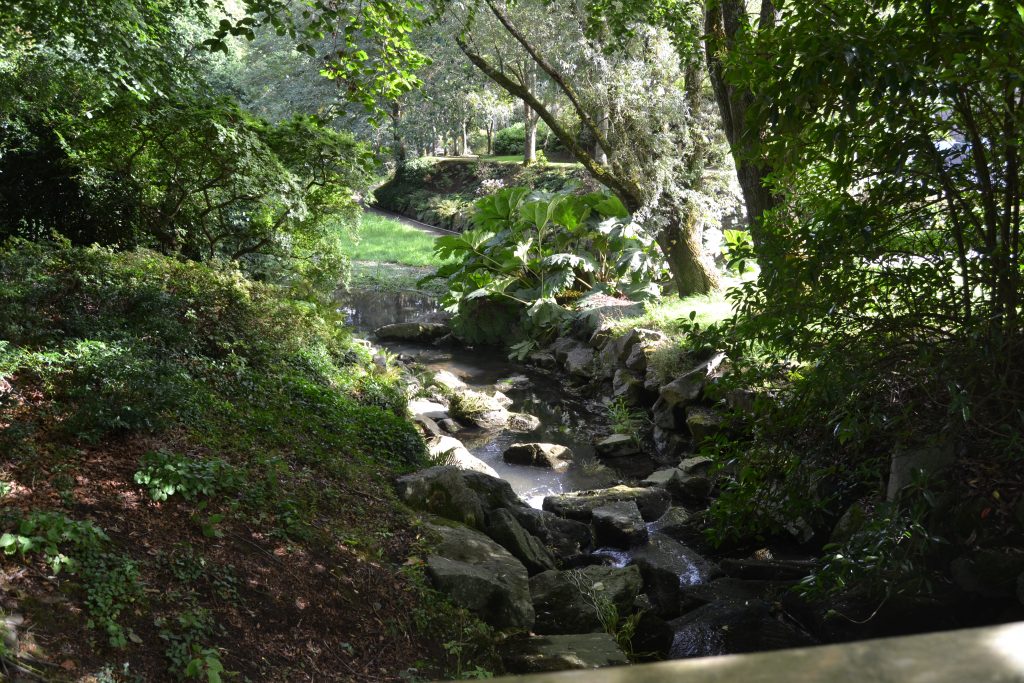 Photo du ruisseau qui passe dans le Vallon du Stang Alar avec bordé par des arbres